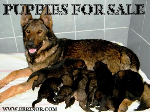 PROD�M �T�NATA