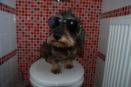 nab�dka ke kryt�