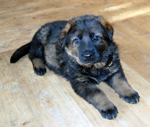 �t��ata NO s PP