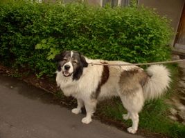 Koup�m �t�n�