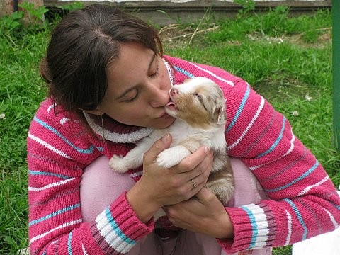 AUSTRALSK� OV��K - �T���TKA S PP