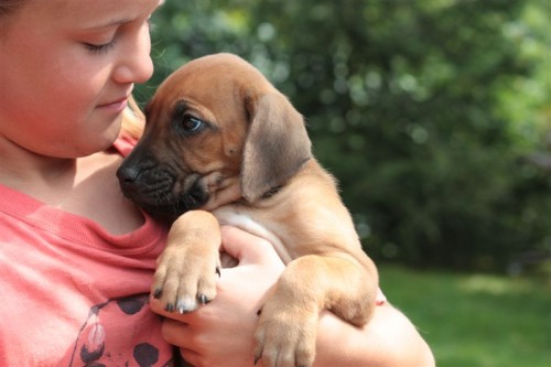 RHOD�SK� RIDGEBACK