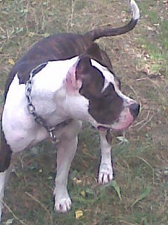 prod�m �t�n�tka