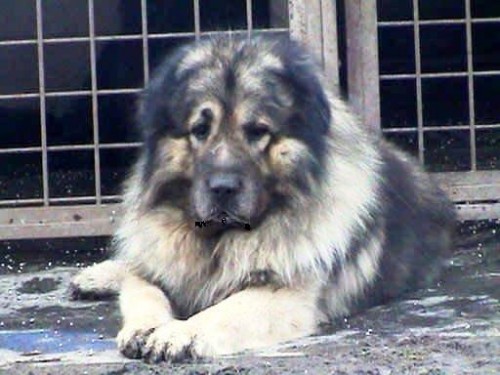 Z�znam na �t���tka