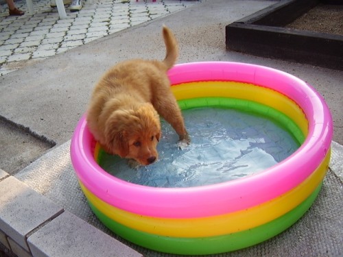 nejmen�� z retr�vr�