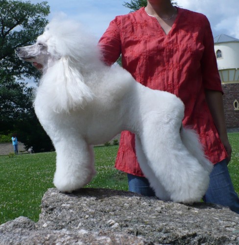 Pudl st�edn� b�l�