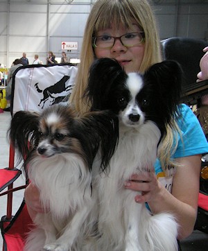 Prod�m dva papillony