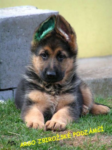 Kr�sn� �t���tka s pp 