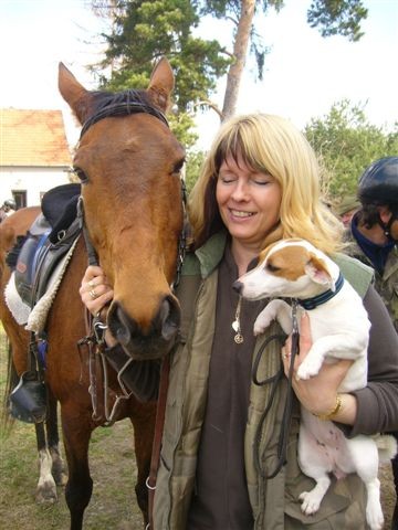 Jack Russel Teri�r