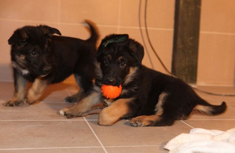 �t��ata NO s PP