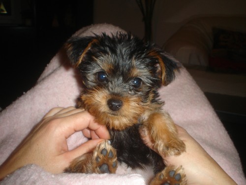 Prod�m �t�n�