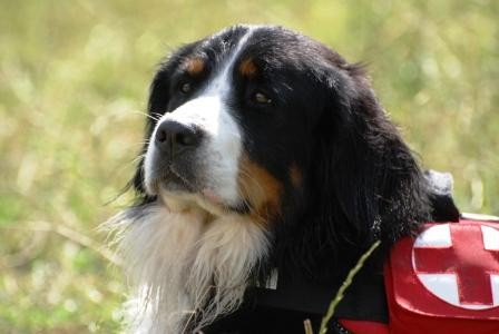 Zad�me �t��ata BSP