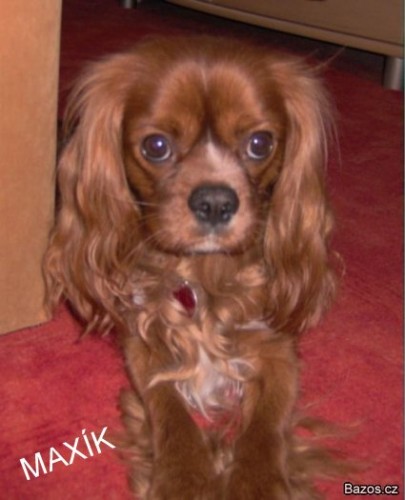   nab�z�m kryt� kaval�rkem bez pp ruby