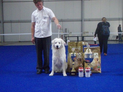 �t���tka s PP !