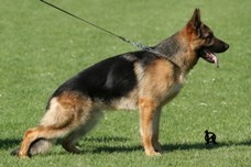 Nab�z�m ke kryt�