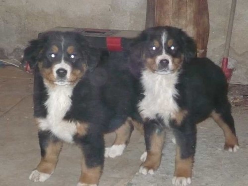 prod�m �t���tka BSP