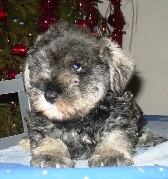 Kn�ra� mal� pep� a s�l bez PP