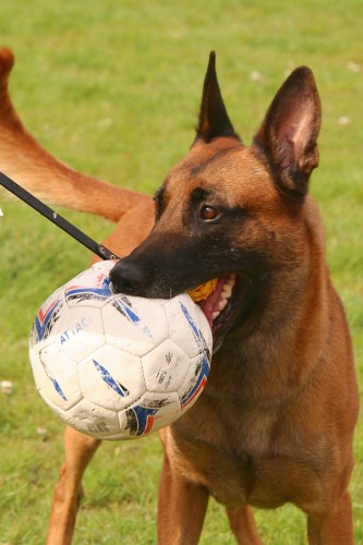 Z�vod "O zmrzlou vranu"