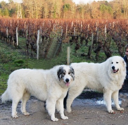 �ek�me �t���tka!