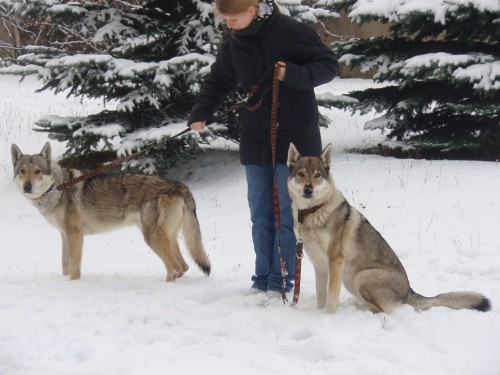 �t��ata �eskoslovensk� vl��k