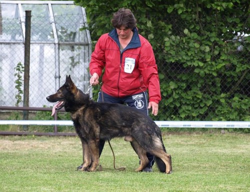 �T�N�TKA Z V�B�ROV�HO CHOVU