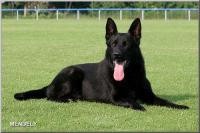 Zahrani�n� a �esk� kvalitn� spojen�