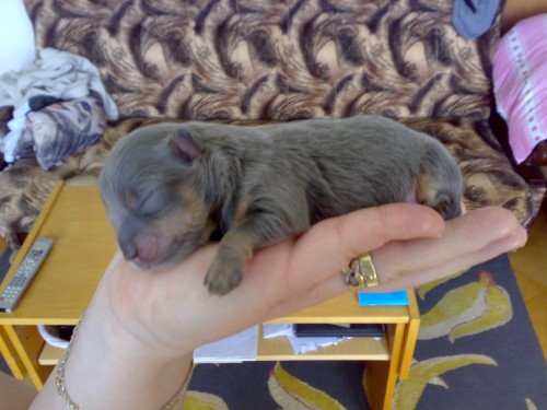 Prod�m �t�n�