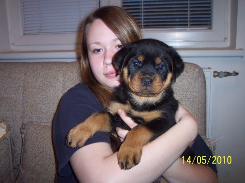 Rotvajler �t��ata