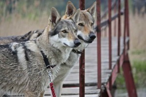 P�ij�m�m z�znamy