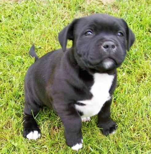 Prod�m kr�snou fenku SBT