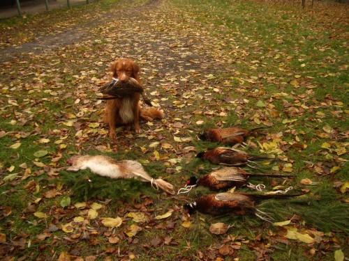 nejmen�� retr�vr