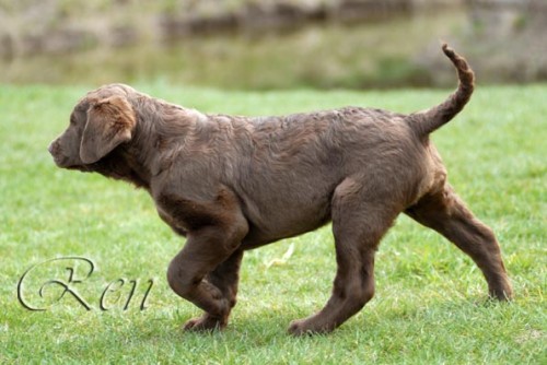 Kvalitn� ����ata