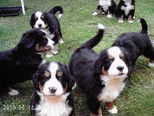 Prod�m �t��ata