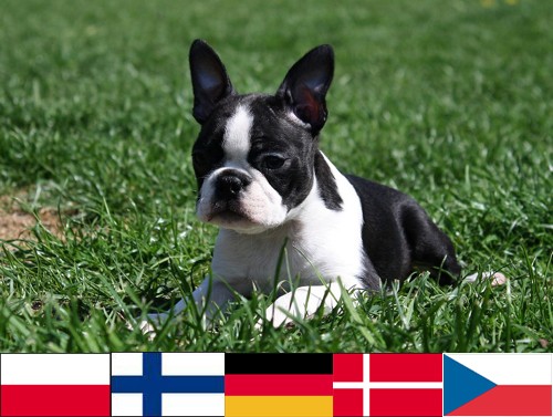 Tvorba www - WebDesign - Grafick� pr�ce