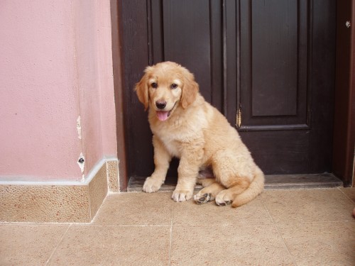 �t�n� hovawarta