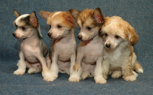 �t��ata-nah��i i osrst�n�