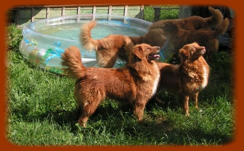 nejmen�� retr�vr