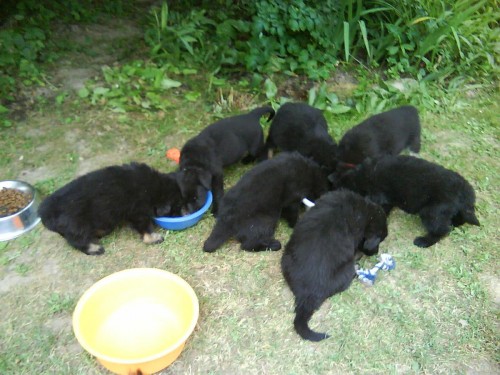 �t��ata NO s PP