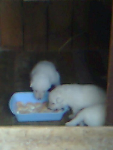 prod�m  �����tka