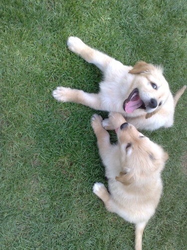 Prod�m �t���tka Howavarta