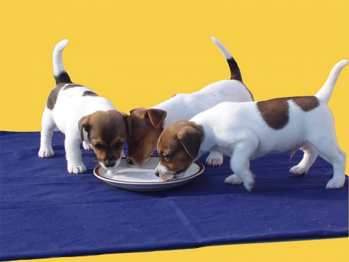 3 kluci ihned k odb�ru