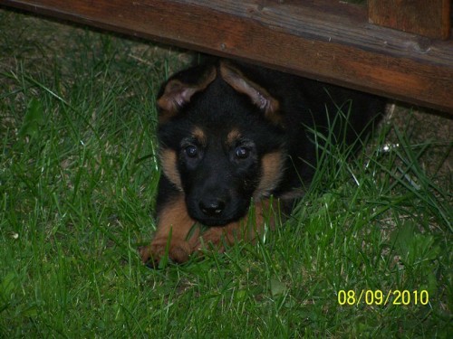 Prod�m �t��ata NO bez PP