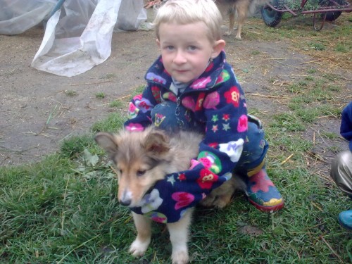 �t��ata �eltie sPP