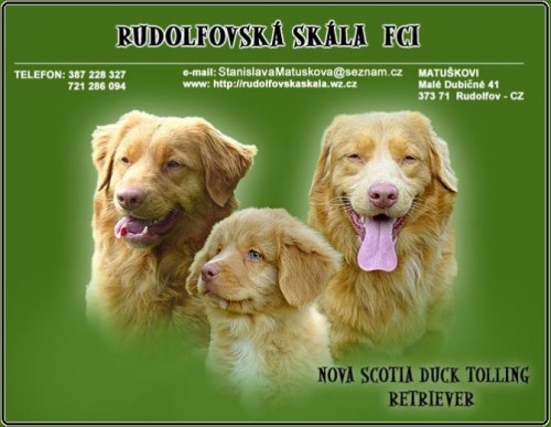 nejmen�� retr�vr