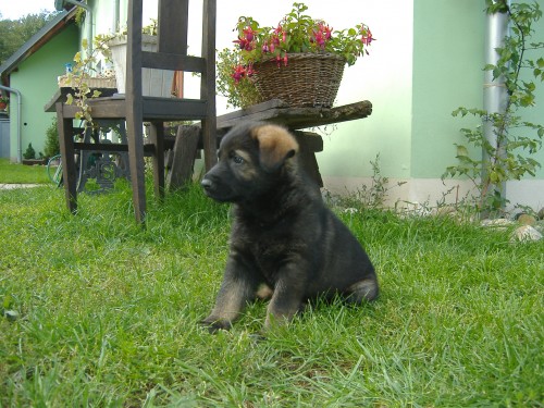 �t��ata NO s PP