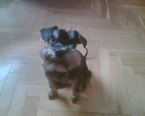 Mal� kn�ra� ke kryt�