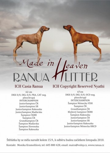 �t���tka s PP