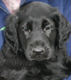 �t���tko FCR ihned k odb�ru