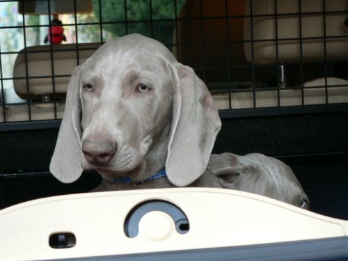 �t�n� v�marsk�ho oha�e