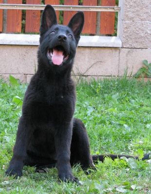 �t��ata NO s PP